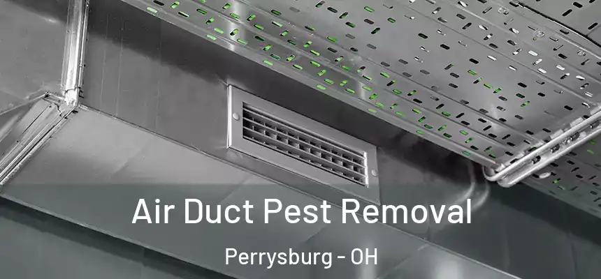  Air Duct Pest Removal Perrysburg - OH