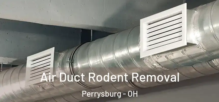  Air Duct Rodent Removal Perrysburg - OH