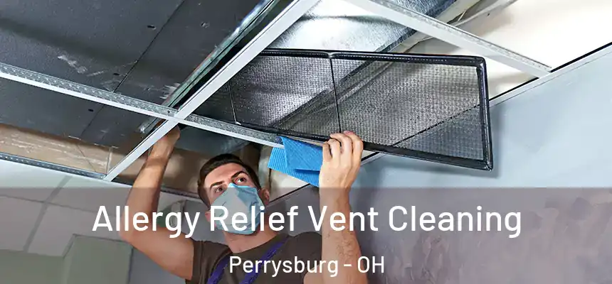  Allergy Relief Vent Cleaning Perrysburg - OH