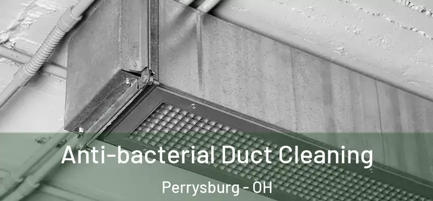  Anti-bacterial Duct Cleaning Perrysburg - OH