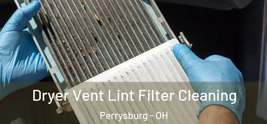  Dryer Vent Lint Filter Cleaning Perrysburg - OH