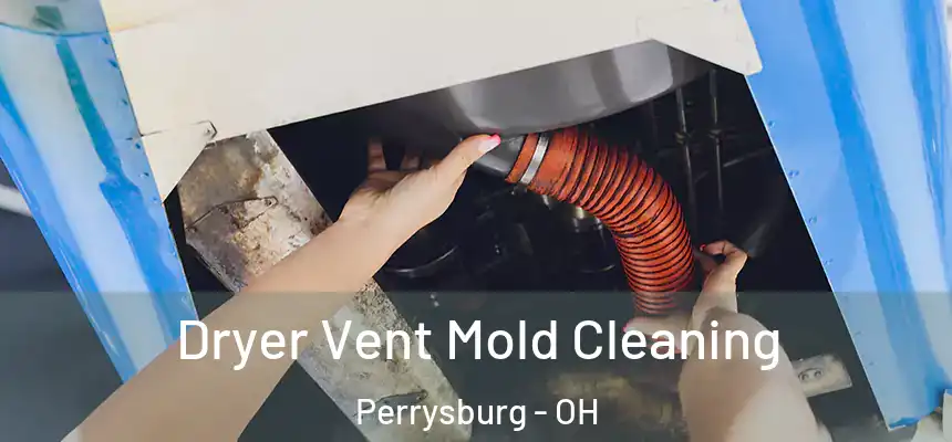 Dryer Vent Mold Cleaning Perrysburg - OH