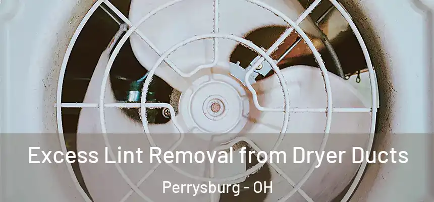  Excess Lint Removal from Dryer Ducts Perrysburg - OH