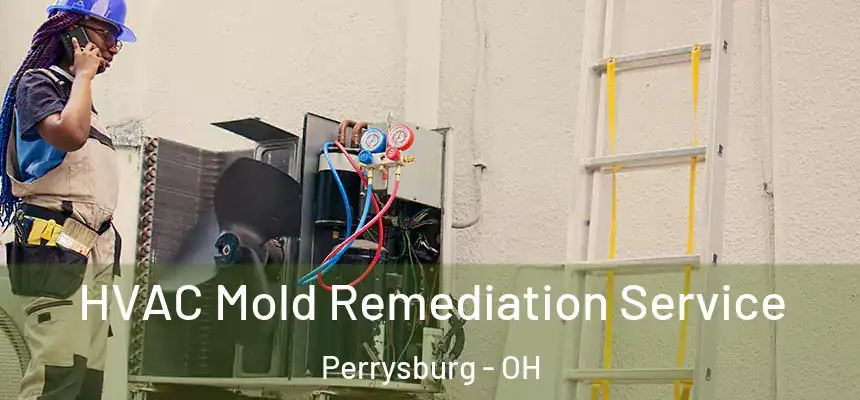  HVAC Mold Remediation Service Perrysburg - OH