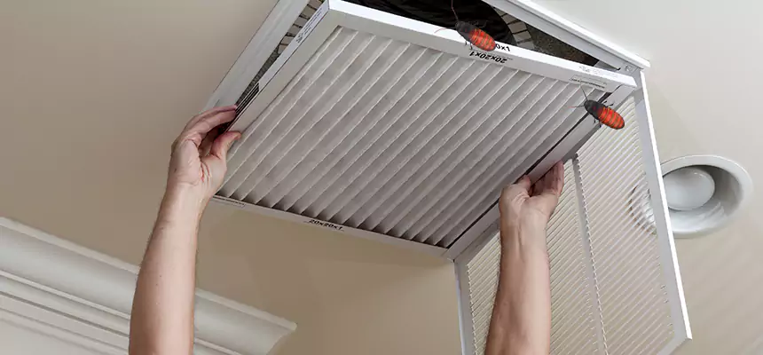 Preventive Cockroach-Proofing for Ducts in Perrysburg