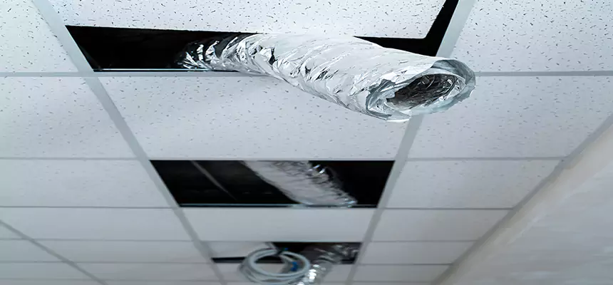 Our Air Duct Pet Hair Removal Services in Perrysburg, OH