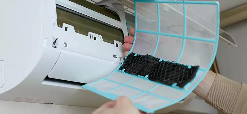 Gentle Ductwork Odor-Control Pet Dander Duct Cleaning in Perrysburg, OH