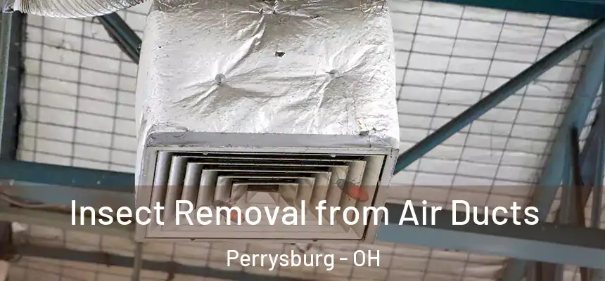  Insect Removal from Air Ducts Perrysburg - OH