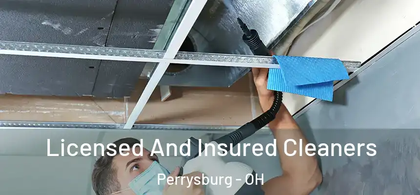  Licensed And Insured Cleaners Perrysburg - OH