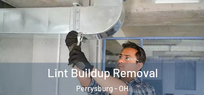  Lint Buildup Removal Perrysburg - OH