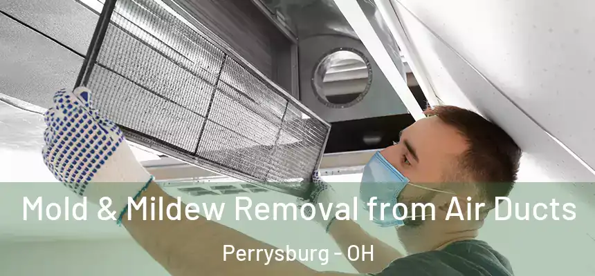  Mold & Mildew Removal from Air Ducts Perrysburg - OH