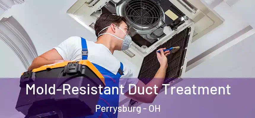  Mold-Resistant Duct Treatment Perrysburg - OH