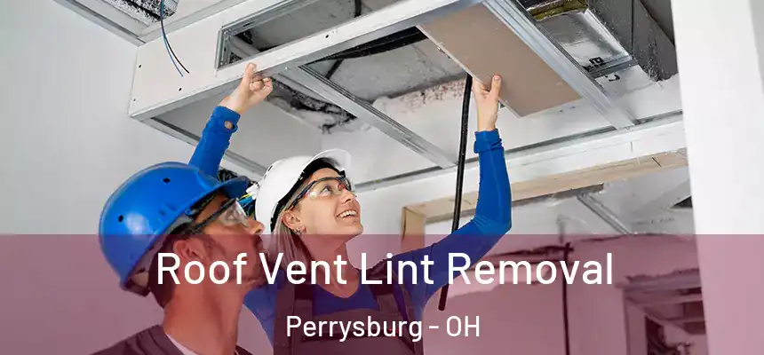 Roof Vent Lint Removal Perrysburg - OH