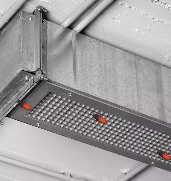 About Air Duct Cockroach Removal in Perrysburg, OH
