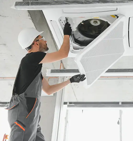 About Air Duct Rodent Removal in Perrysburg, OH