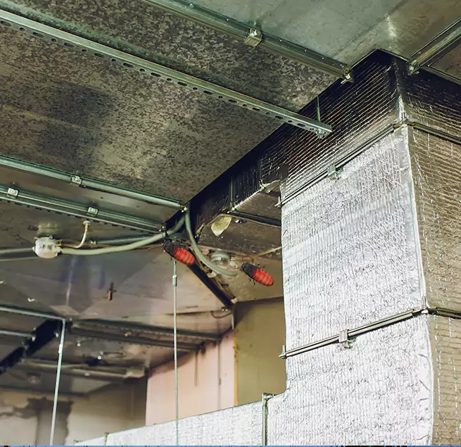 Why Homeowners & Businesses Trust Us in Perrysburg, OH?