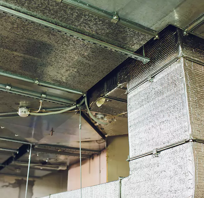 Why Homeowners & Businesses Trust Us in Perrysburg, OH?